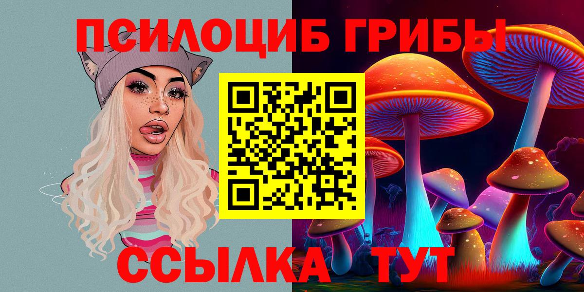 Псилоцибиновые грибы прущие грибы Беслан