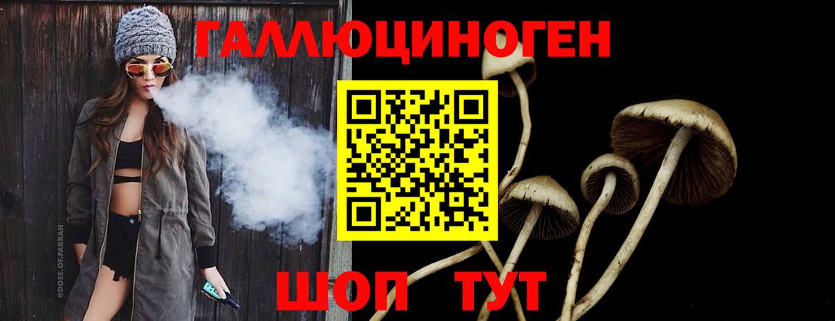 Галлюциногенные грибы Psilocybe  Псилоцибиновые грибы GOLDEN TEACHER  Вход с VPN  наркота  Беслан 